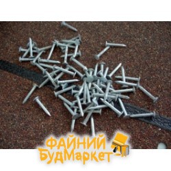 ТехноНиколь Гвозди оцинк. с кольцевой накаткой 3,2х30мм