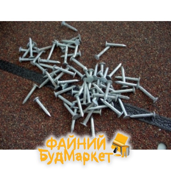 ТехноНиколь Гвозди кровельные накатные оцинк. 3,1х25мм